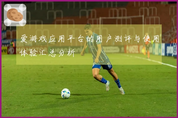 爱游戏应用平台的用户测评与使用体验汇总分析